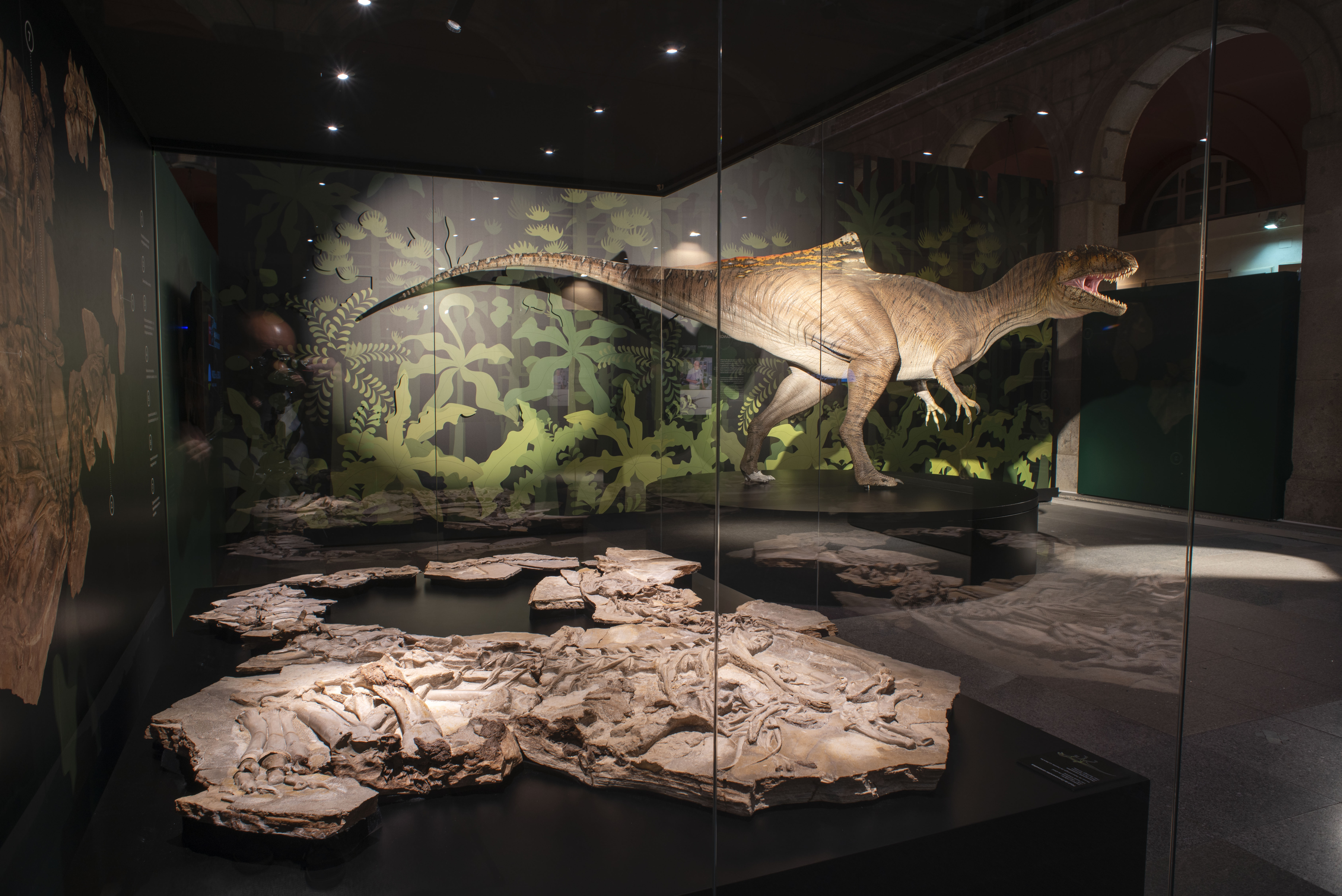 Sala de Cazadores de Dragones