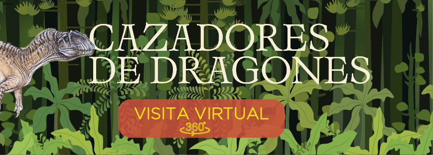 Banner Cazadores de Dragones