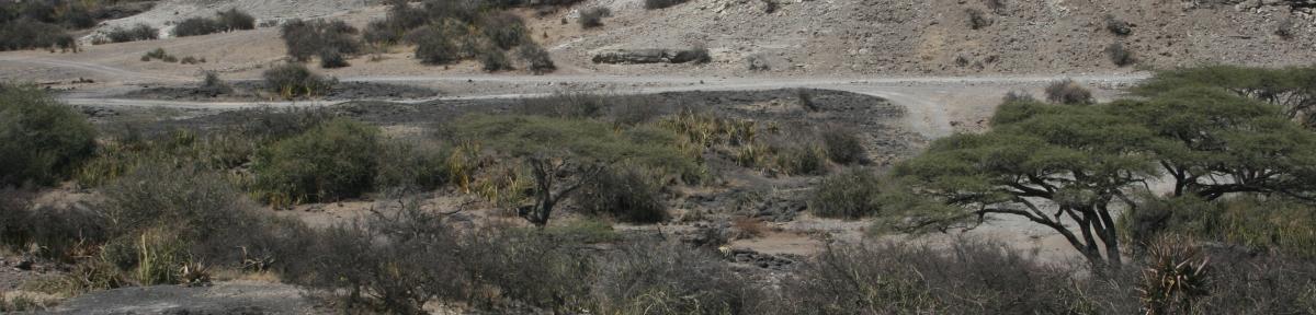 Yacimiento arqueológico de Olduvai Gorge