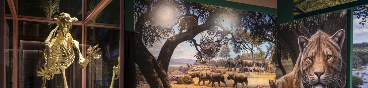 Montaje de "Dientes de sable"