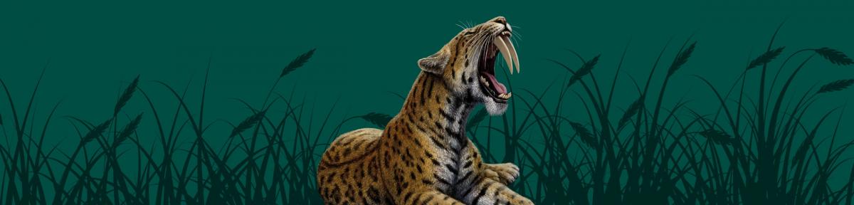 Carrusel exposición "Dientes de sable"