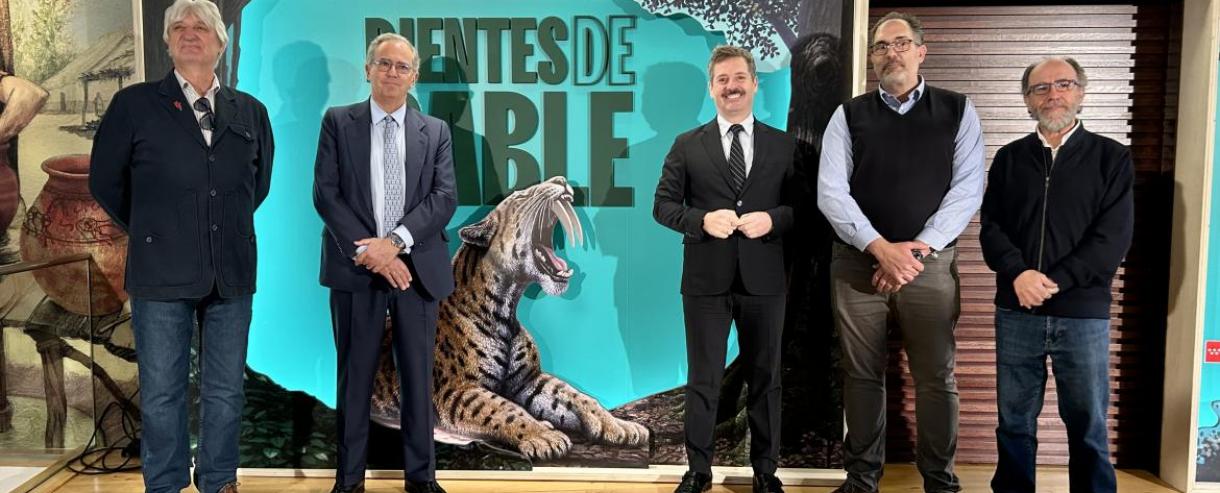 El museo Arqueológico y Paleontológico de la Comunidad de Madrid inaugura su exposición sobre los félidos Dientes de Sable
