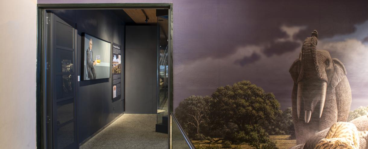 Entrada a la Sala de Paleontología Emiliano Aguirre