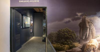 Entrada a la Sala de Paleontología Emiliano Aguirre