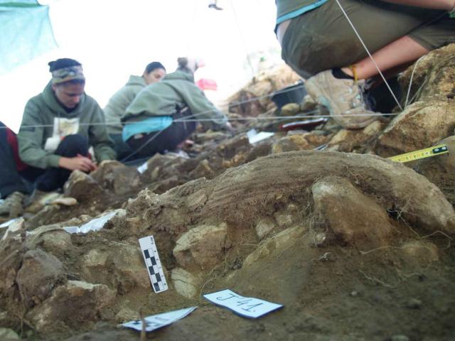 Excavación en cueva Des-Cubierta