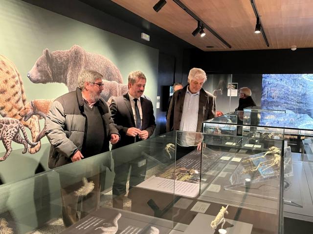 De Paco Serrano observa vitrina en la Sala de Paleontología Emiliano Aguirre