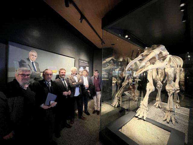 Ante réplica de esqueleto de "Tetralophodon longirostris" Sala de Paleontología Emiliano Aguirre