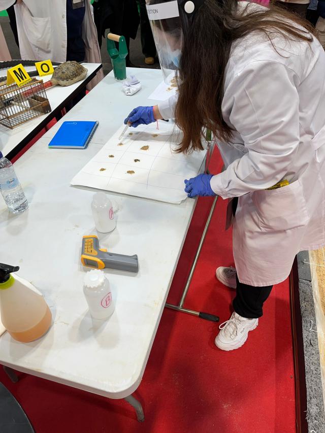 Arqueóloga Forense en laboratorio MARPA realiza test de fosfatos