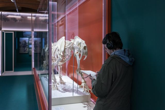 Visita de alumnos de la Escuela de Arte al MARPA