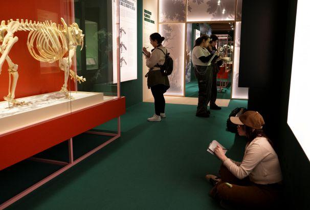 Visita de alumnos de la Escuela de Arte al MARPA