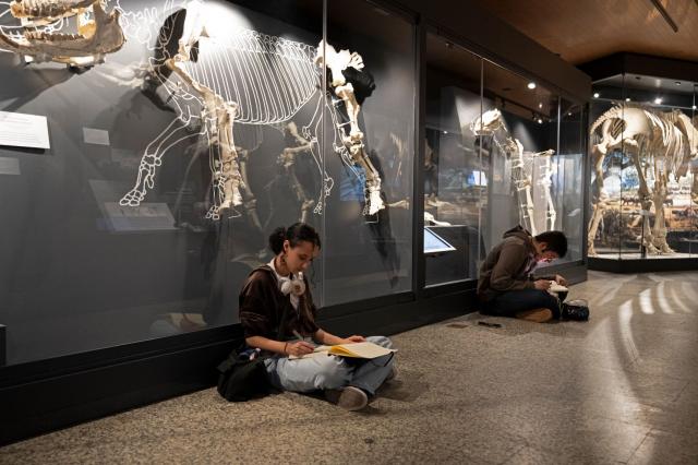 Visita de alumnos de la Escuela de Arte al MARPA