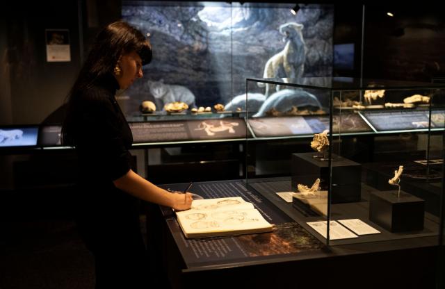 Visita de alumnos de la Escuela de Arte al MARPA