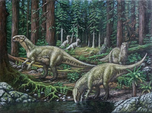 Imagen de la exposición