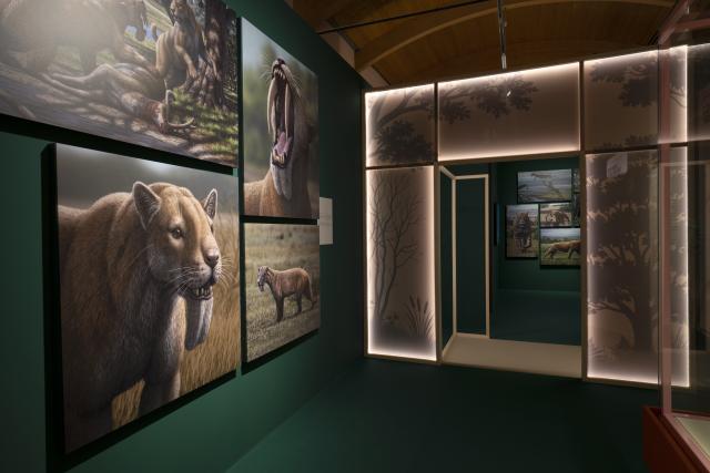 Exposición "Dientes de sable"
