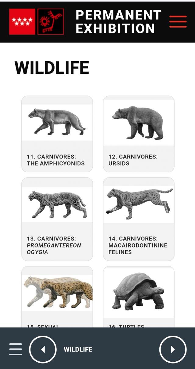 Panel 'Wildlife' del sistema de audioguía en inglés del museo