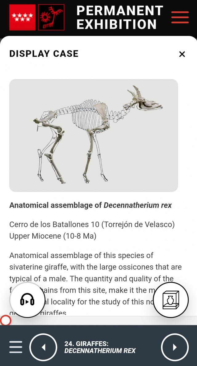 Panel 'Giraffes' del sistema de audioguía en inglés del museo