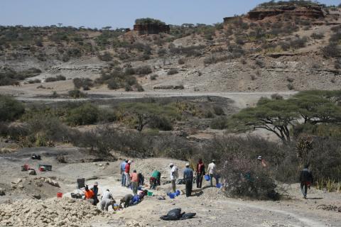 Yacimiento arqueológico de Olduvai Gorge